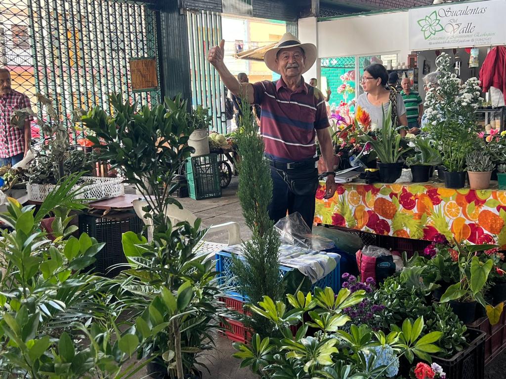 galerias cali
